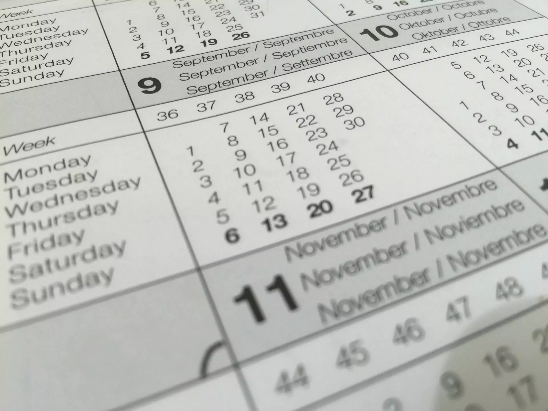 Take the guesswork out of your Q4 marketing strategy.