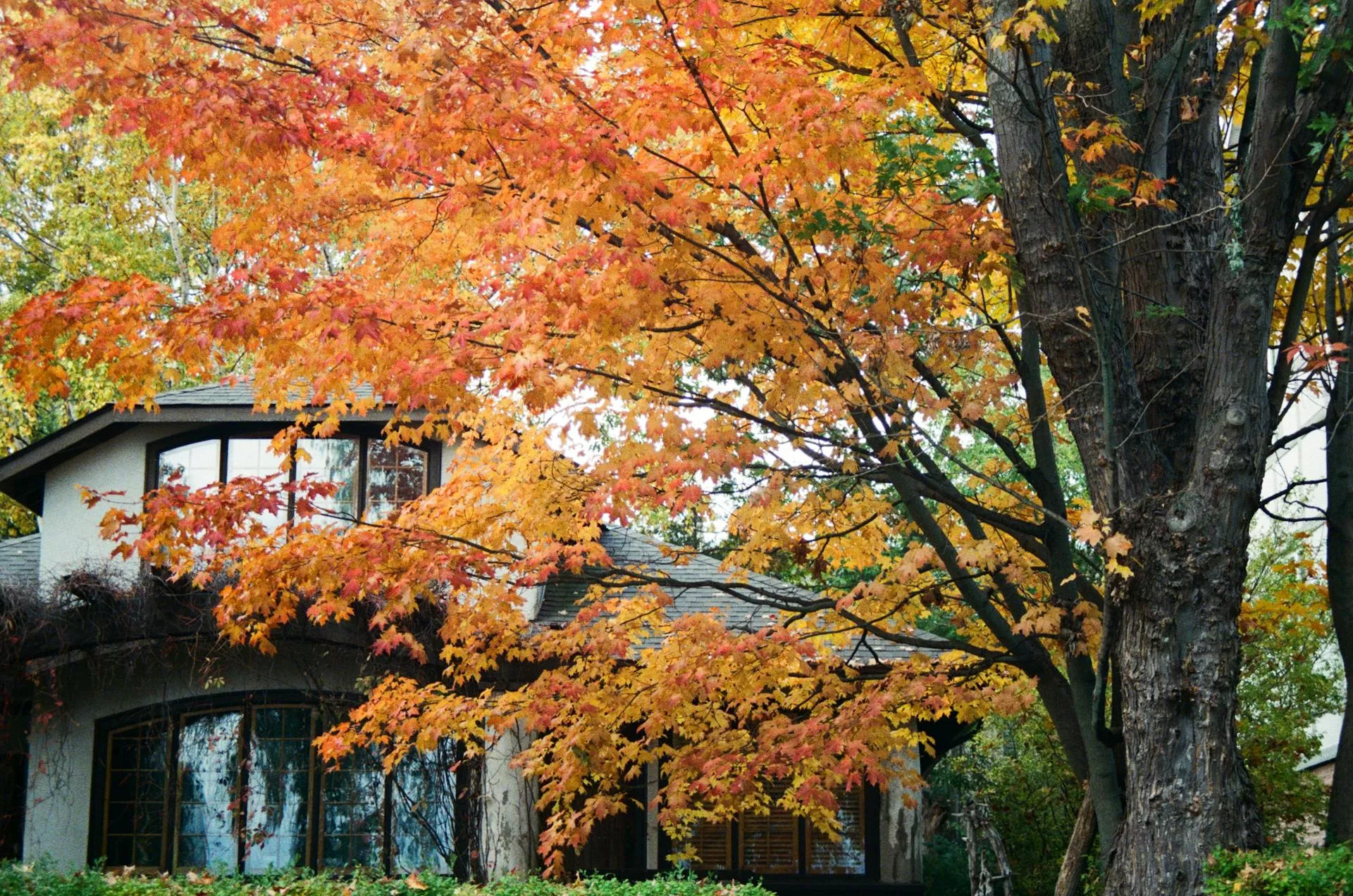 Affordable ways to make your listings pop this autumn season.